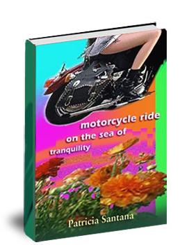 Book- Motocyce Ride on the Sea of Tranquility